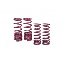 Vogtland lowering springs (240Z 260Z)