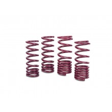 Vogtland lowering springs (300ZX) (Z31)