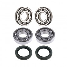 Rear wheel bearings kit (240Z 260Z 280Z)